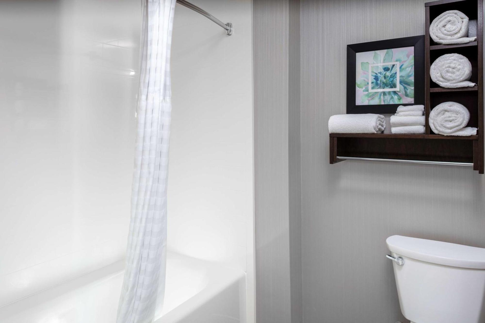 One-Bedroom King Suite Non-Smoking